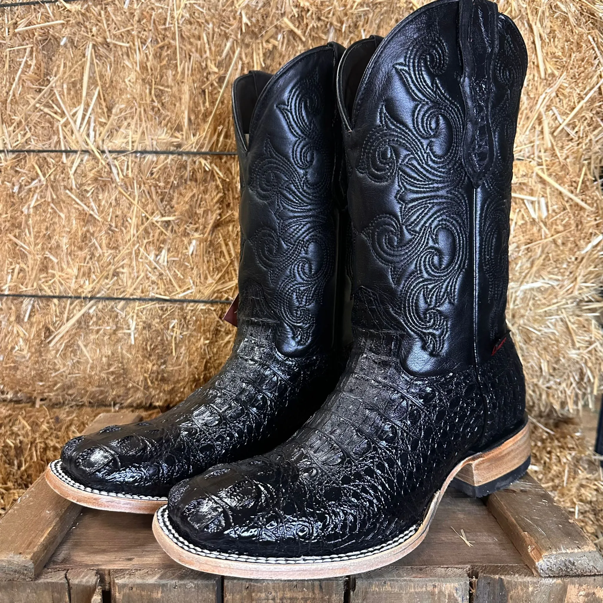 Artillero Caiman Print Square Toe Cowboy Boot- Black