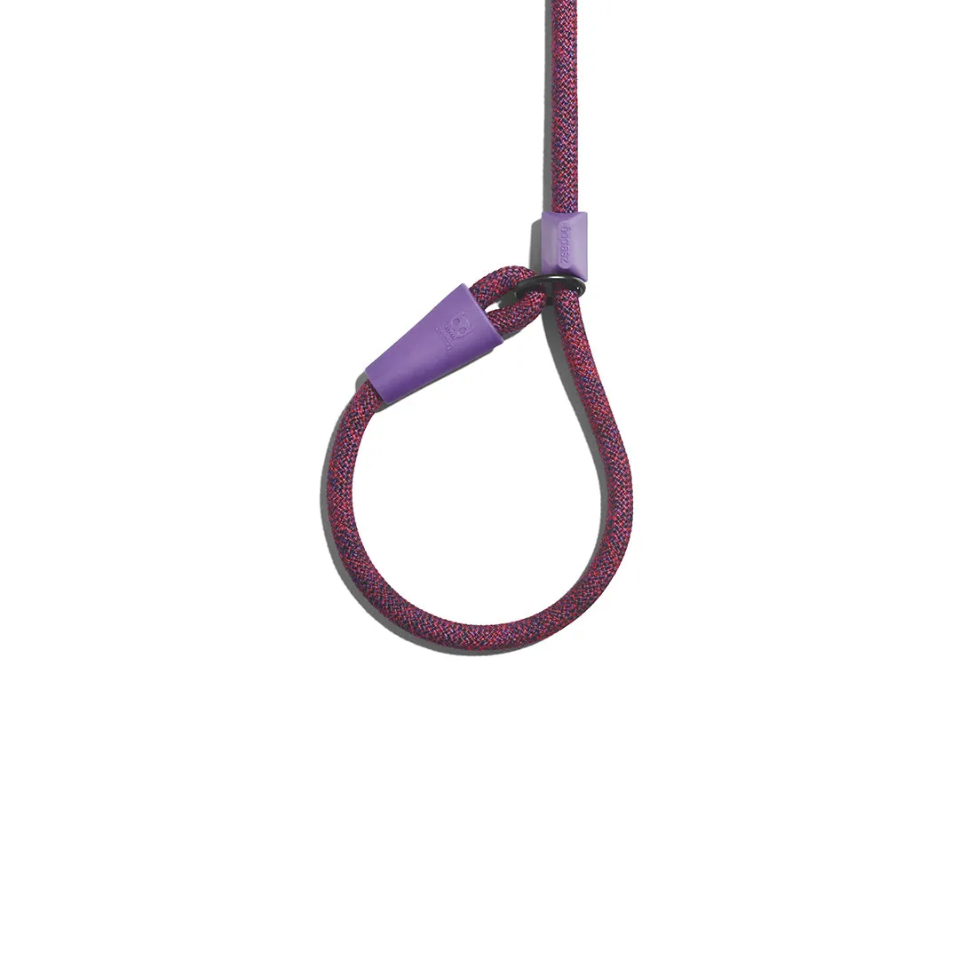 Cosmo Slip On Leash