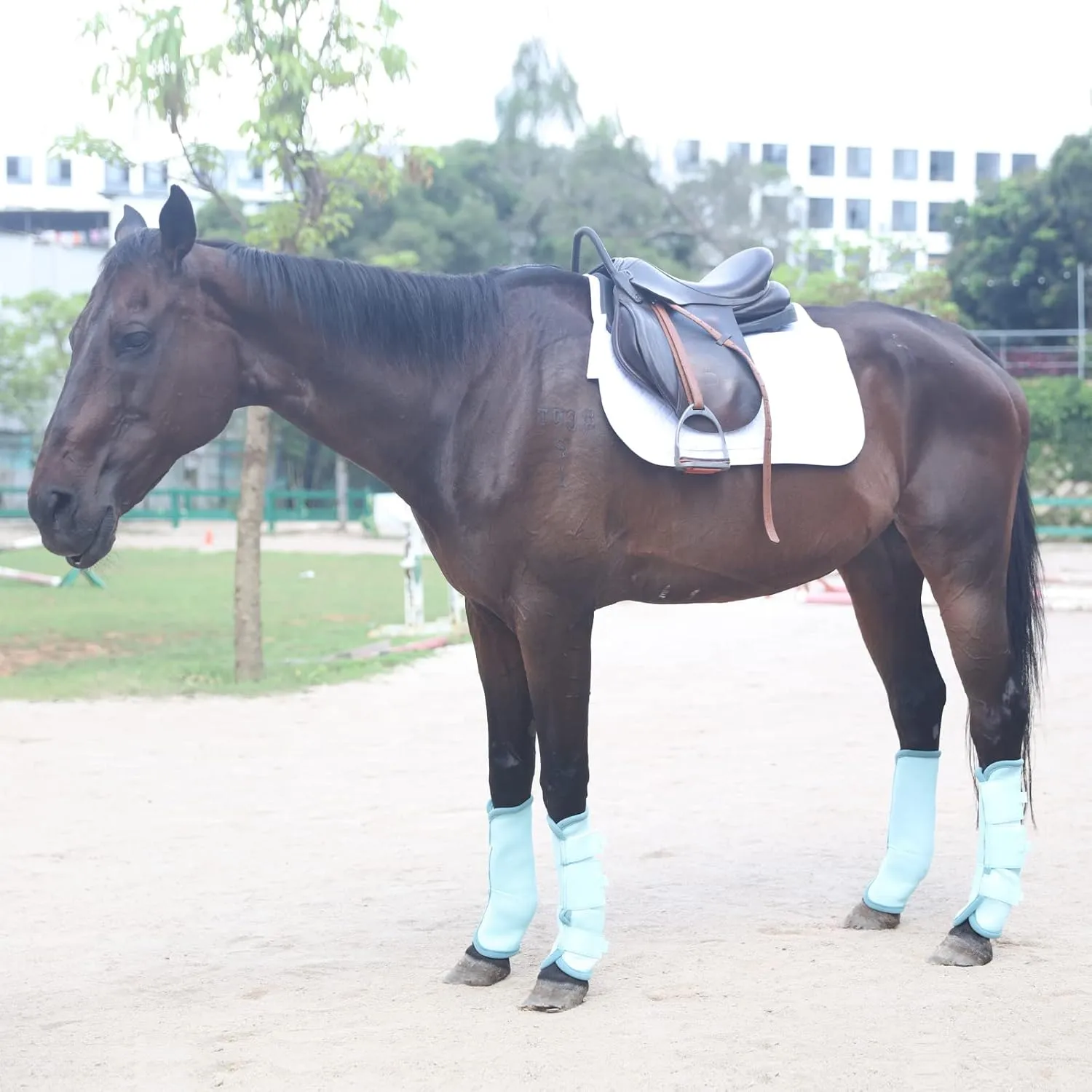 Fly Boots for Horses Set of 4, Breathable Comfy Mesh Horse Leggings Reduce Stomping, Hoof Stress, and Leg Fatigue SkyBlue Cob