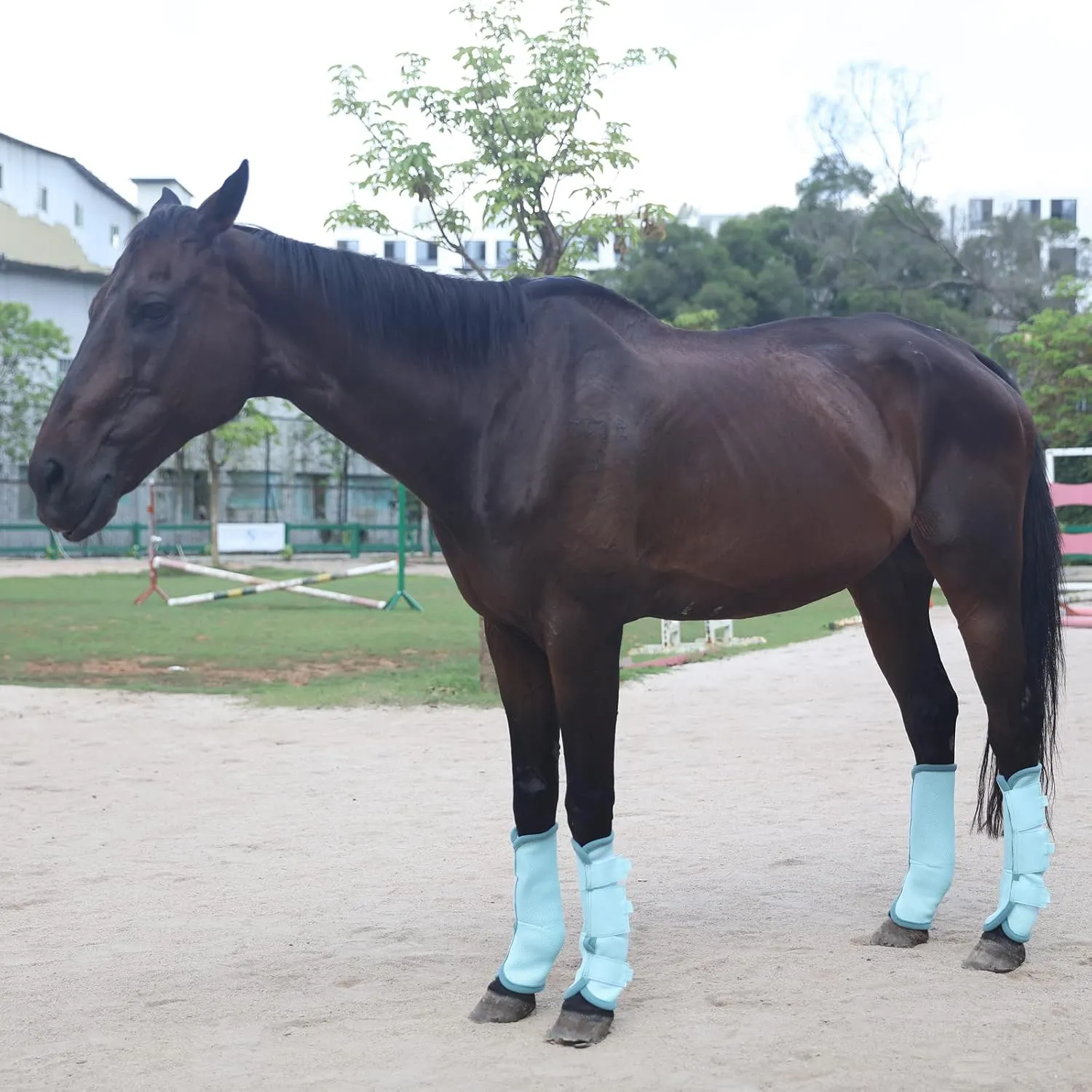 Fly Boots for Horses Set of 4, Breathable Comfy Mesh Horse Leggings Reduce Stomping, Hoof Stress, and Leg Fatigue SkyBlue Cob