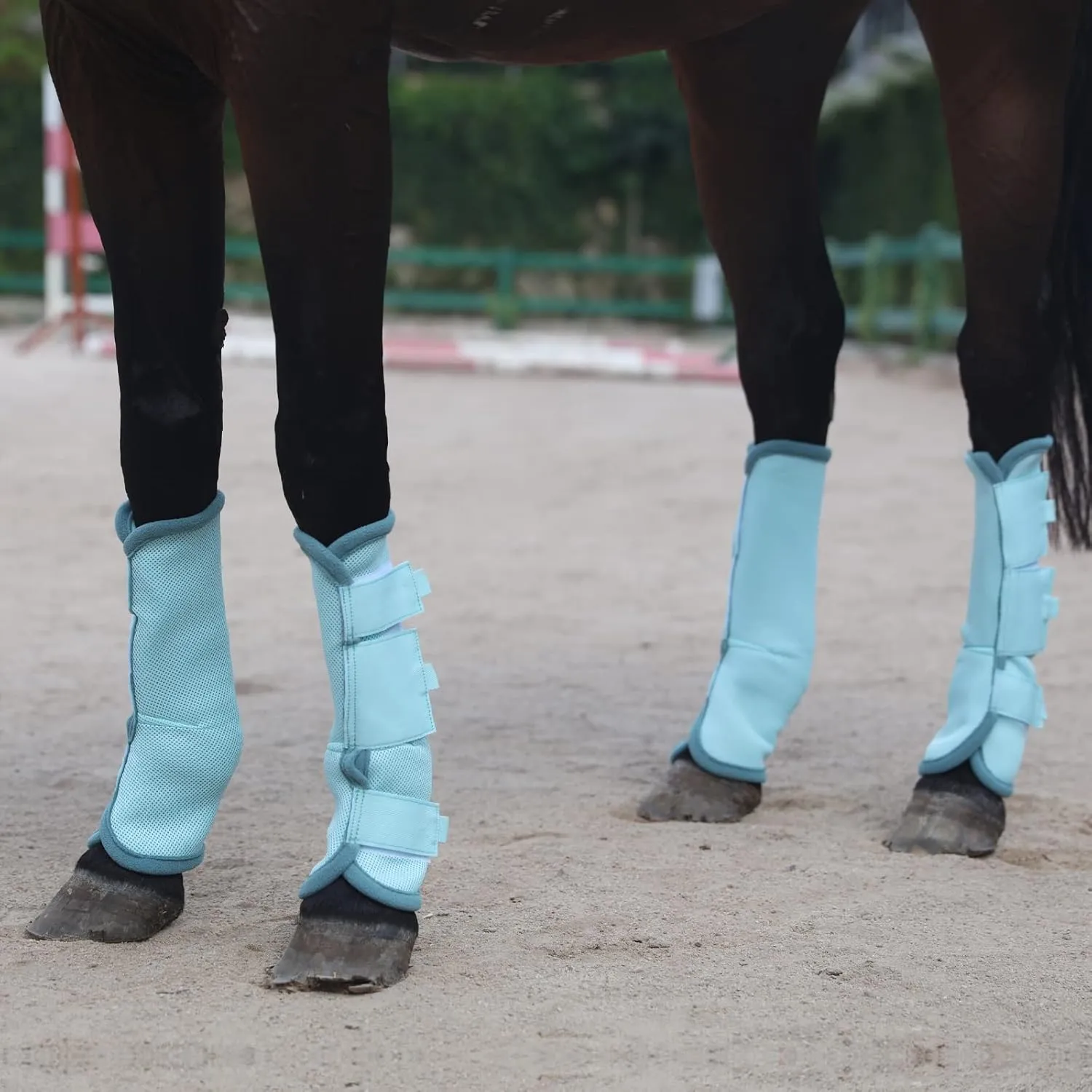 Fly Boots for Horses Set of 4, Breathable Comfy Mesh Horse Leggings Reduce Stomping, Hoof Stress, and Leg Fatigue SkyBlue Cob