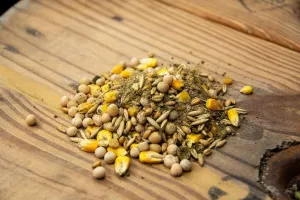 New Country Organics | Unmilled Layer Feed for Laying Hens | Soy-Free | 17% Protein | Certified Organic and Non-GMO | Great for Fermenting | 40 lbs Bag