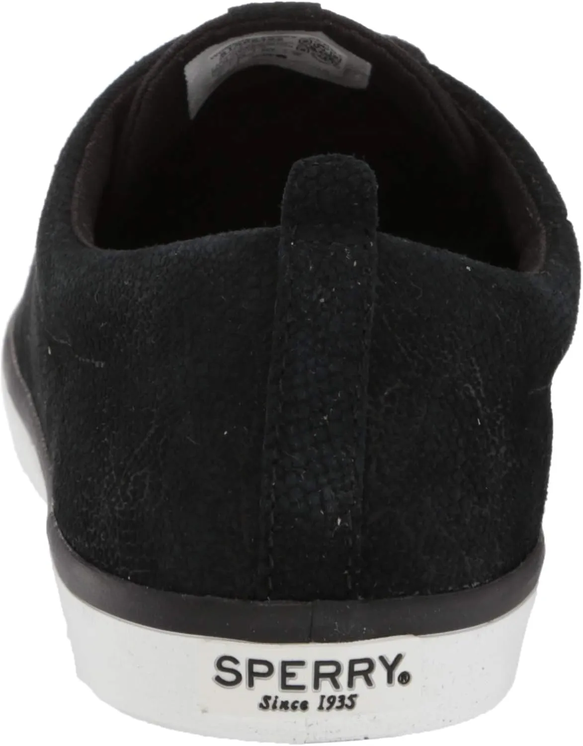 Sperry Women's Sailor LTT Sneaker