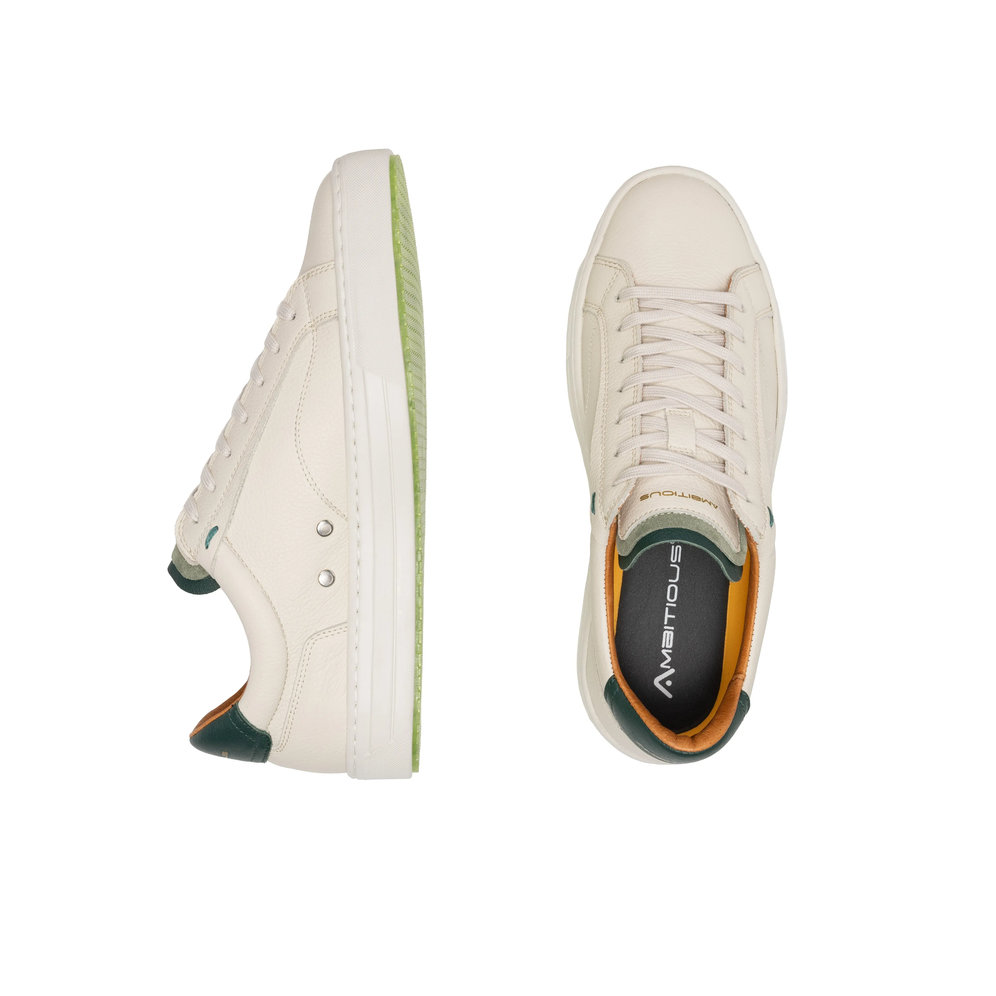 White Anopolis Trainer